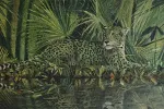 Jaguar in Grün